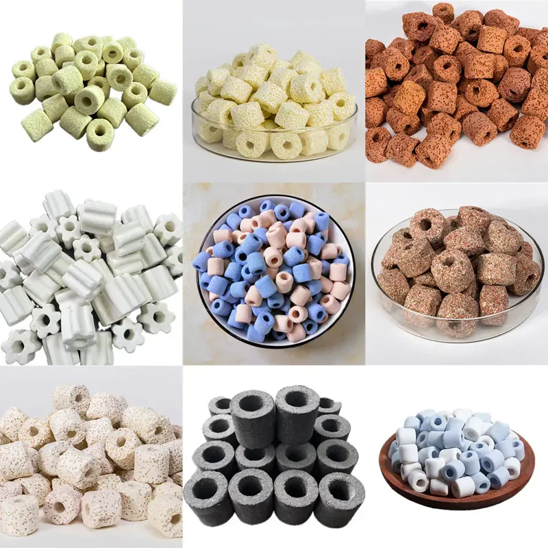Porous Bio Rings