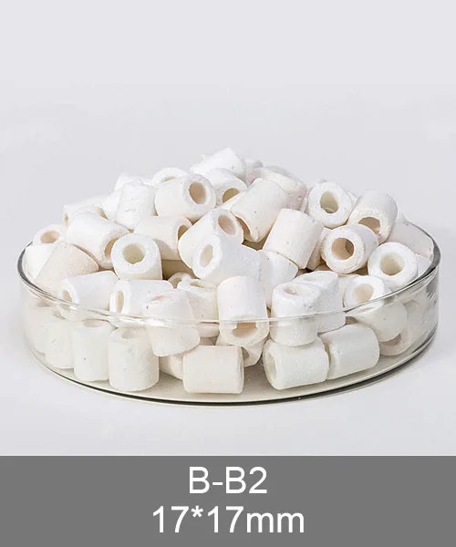 B-B2 ceramic rings, white ceramic ring 17x17mm for canister and sump filters